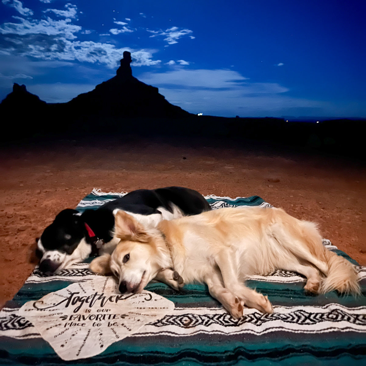 2 dogs laying on "Togetherness is our Favorite Place to Be" Patch Mexican Blanket in the desert