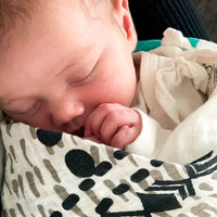 Baby Wrapped in Bear Organic Swaddle Blanket 